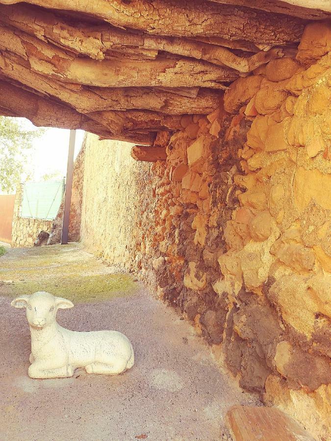 Cal Xaiet Guest House Llampaies Luaran gambar